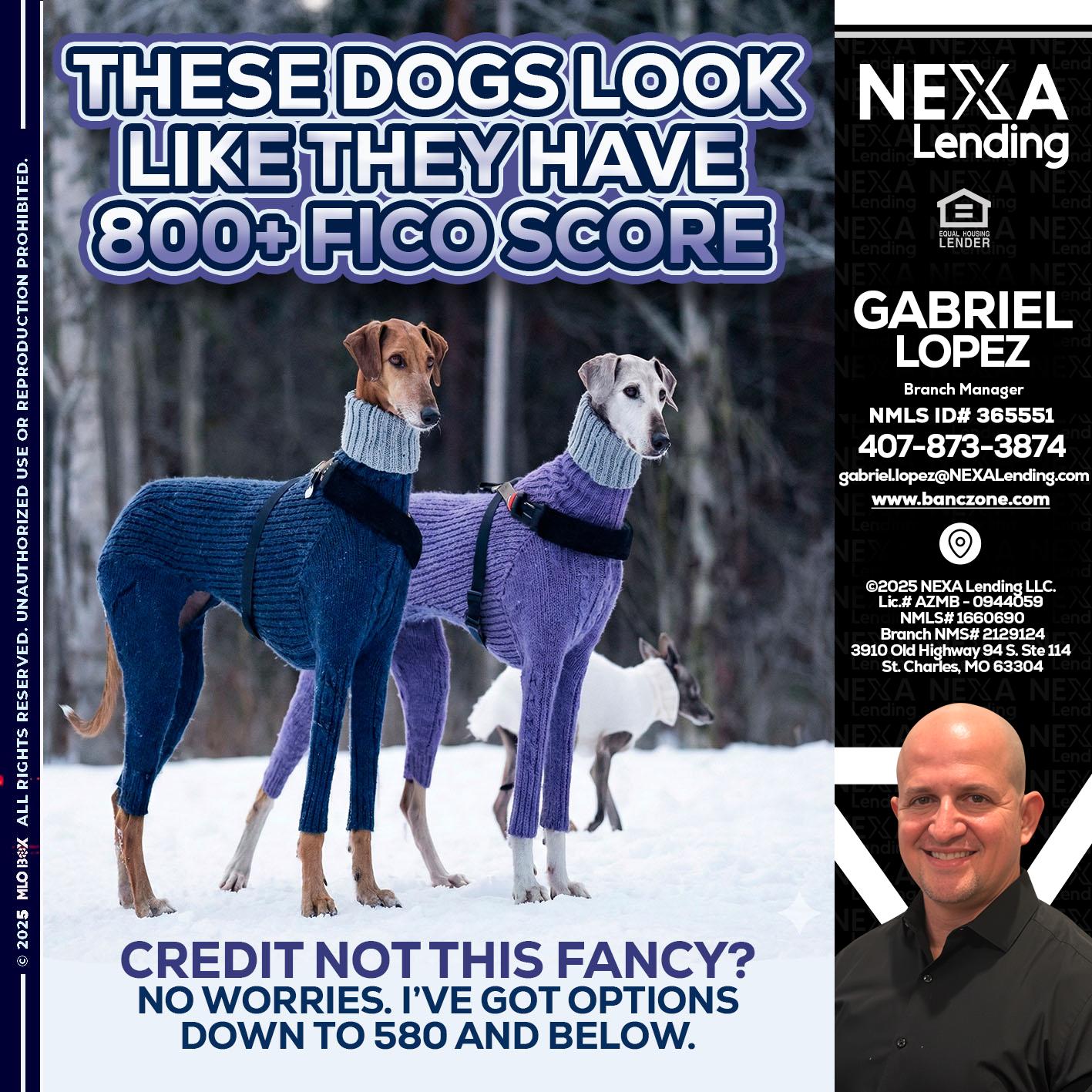 THESE DOGS LOOK - Gabriel Lopez -Branch Manager